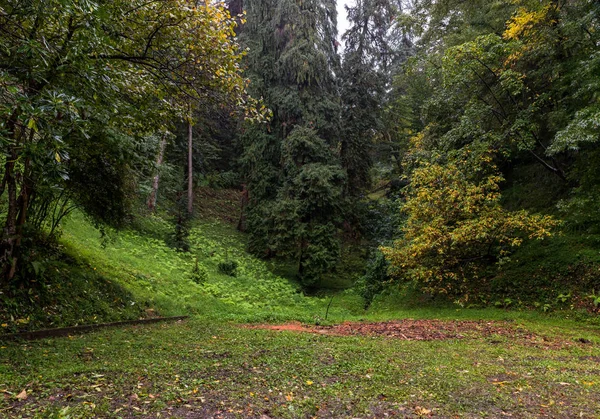 Jour d'automne pluvieux dans le jardin botanique de Batoumi en Géorgie — Photo