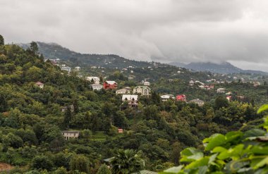 Georgia 'daki dağların yakınlarındaki Batumi Botanik Bahçesi' nden yağmurlu bir günde manzara