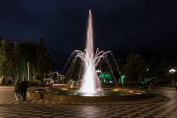 Ночной вид на Батумский бульвар Фонтаны в городе Батуми - столице Аджарии в Грузии — стоковое фото