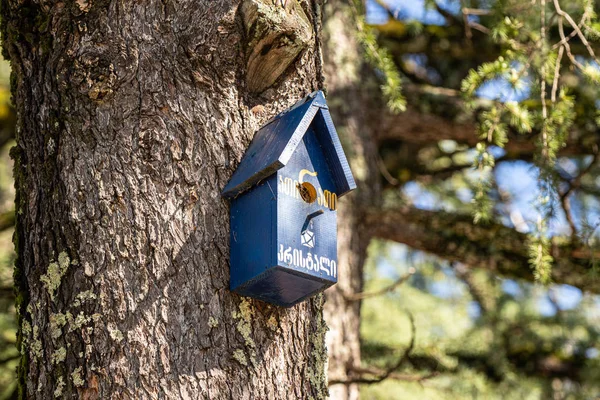Ptačí budka spojená se stromem v parku paláce Dadiani - sídlo starobylé rodiny megreliánských knížat ve městě Zugdidi v Gruzii — Stock fotografie