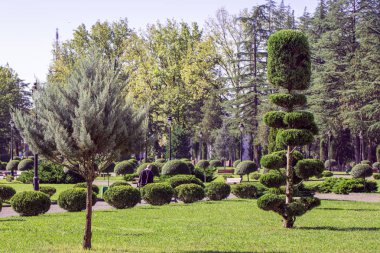 Dadiani Sarayı 'ndaki dekoratif botanik bahçesi. Gürcistan' ın Zugdidi şehrindeki Megreyen prenslerin eski bir ailesinin evi.