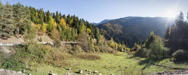 Вузька звивиста гірська дорога проходить через гори та ліси в гористій місцевості Грузії. — стокове фото