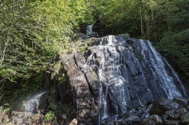 Gürcistan 'ın dağlık kesimindeki soğuk ve berrak dağ suyuyla küçük bir dağ şelalesi.