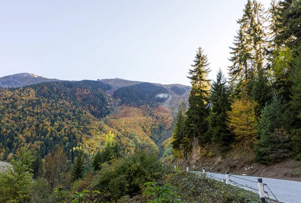 A estrada que passa pelas montanhas coberta de florestas na parte montanhosa da Geórgia ao pôr do sol — Fotografia de Stock