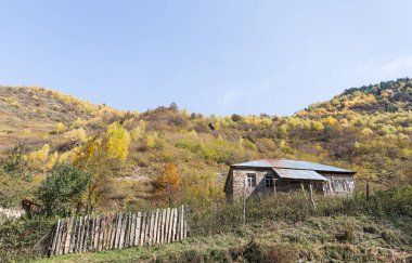 Sabahın erken saatlerinde Georgia 'nın dağlık kesimindeki Svaneti' deki dağların eteklerinde tek bir çiftlik bulunur.