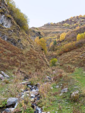 Gürcistan 'ın dağlık kesimindeki Svaneti' deki dağların arasından kristal berrak dağ deresi akar.