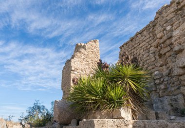 Caesarea Kalesi 'nin kalıntıları Büyük Herod tarafından Akdeniz kıyılarında, Kuzey İsrail' de, Caesarea City yakınlarında inşa edildi.