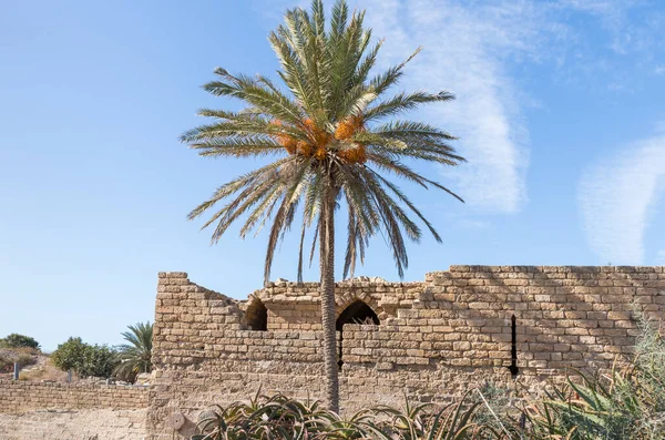 Τα ερείπια του φρουρίου της Καισάρειας που χτίστηκε από τον Ηρώδη τον Μέγα κοντά στην πόλη Καισάρεια, στις ακτές της Μεσογείου, στο βόρειο Ισραήλ — Φωτογραφία Αρχείου