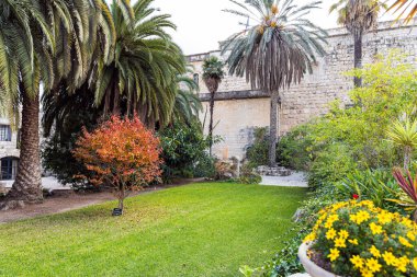 İsrail 'in Kudüs yakınlarındaki Abu Ghosh Çeçen köyündeki Benedikt Manastırı' nın dekoratif bahçesi.