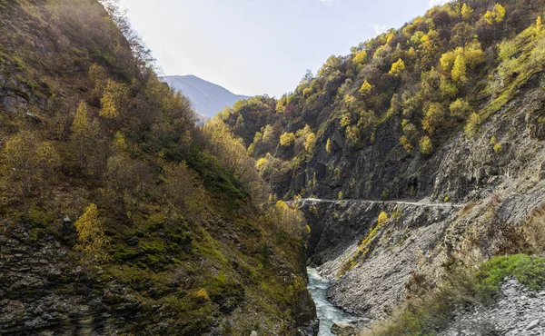 ジョージア州の山岳地帯スヴァネティの森に覆われた山の景色 — ストック写真