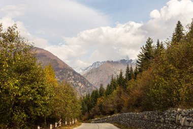 Dağ yolu, Georgia 'nın dağlık kesimindeki Svaneti' deki dağların arasından geçiyor.