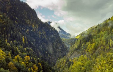 Gürcistan 'ın dağlık kesimindeki Svaneti' de ormanlarla kaplı dağ yamaçları ve alçak gök gürültülü bulutlar