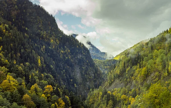 Горные склоны, покрытые лесами и низкими грозовыми тучами в Сванетии в горной части Грузии — стоковое фото