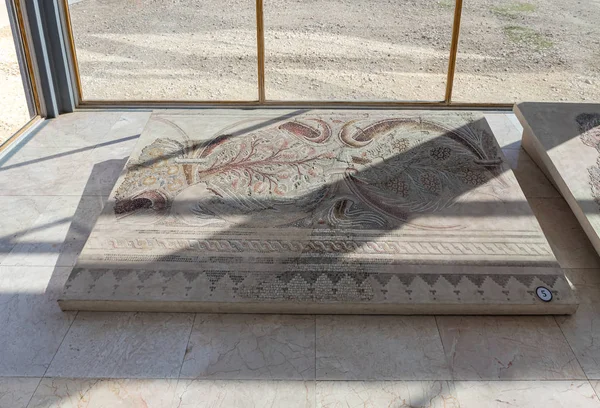 Частично сохранившаяся мозаика - экспонат Музея Доброго Самаритянина возле Иерусалима в Израиле — стоковое фото