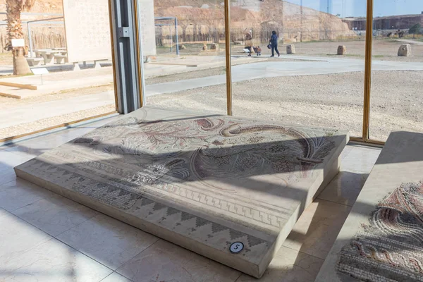 Mosaico parcialmente preservado - exposição do Museu do Bom Samaritano perto de Jerusalém, em Israel — Fotografia de Stock