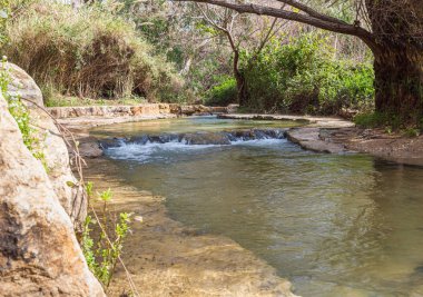 Kuzey İsrail 'deki Celile' deki hızlı, sığ, soğuk Ayun nehri.