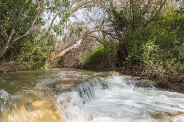 Kuzey İsrail 'deki Celile' deki Ayun Nehri 'nin hızlı, sığ ve soğuk dağı için su eşiği.