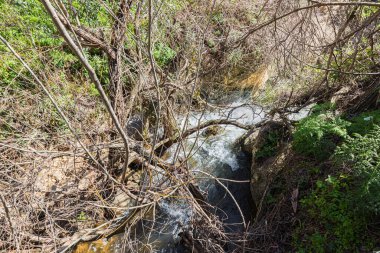Kuzey İsrail 'deki Celile' deki hızlı, sığ, soğuk Ayun nehri.