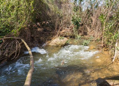 Kuzey İsrail 'deki Celile' deki hızlı, sığ, soğuk Ayun nehri.