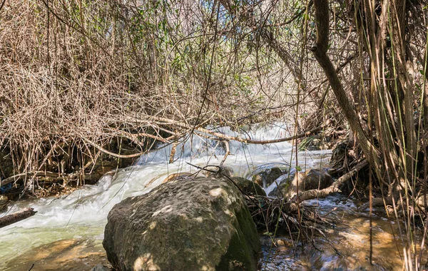 Γρήγορο Ρηχό Κρύο Βουνό Του Ποταμού Ayun Στη Γαλιλαία Στο — Φωτογραφία Αρχείου