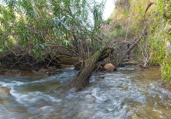 Der Schnelle Flache Kalte Gebirgsfluss Ayun Norden Israels — Stockfoto