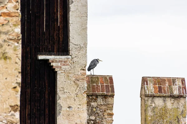 Sirmione Olaszország 2015 Október Castello Scaligero Erőd Külső Fala Lombardiai — Stock Fotó