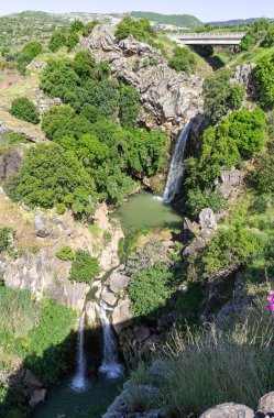 Saar Şelaleleri 'nin soğuk ve berrak suları İsrail' in Golan Tepeleri 'ndeki bir yarıktan aşağı iniyor..