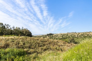 İsrail 'in kuzeyindeki Golan Tepeleri' nde çayırlar tepelere dönüşüyor.