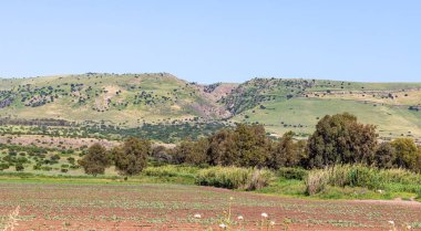 İsrail 'in kuzeyindeki Golan Tepeleri' nde tarlalar küçük orman ve tepelere dönüşüyor.