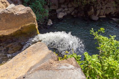 Saar dağı nehri soğuk ve berrak suyla İsrail 'in Golan Tepeleri' ndeki dağlarda bir yarığa akar..