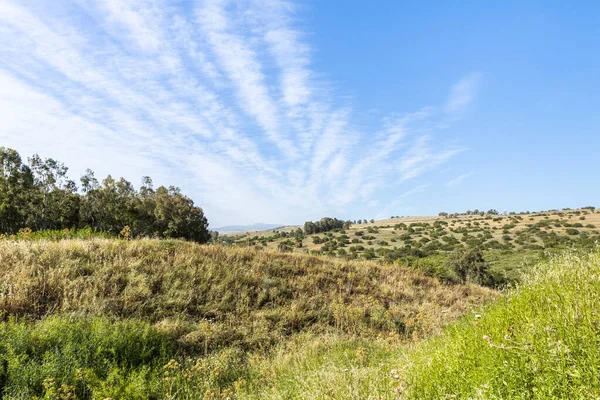 İsrail 'in kuzeyindeki Golan Tepeleri' nde çayırlar tepelere dönüşüyor.