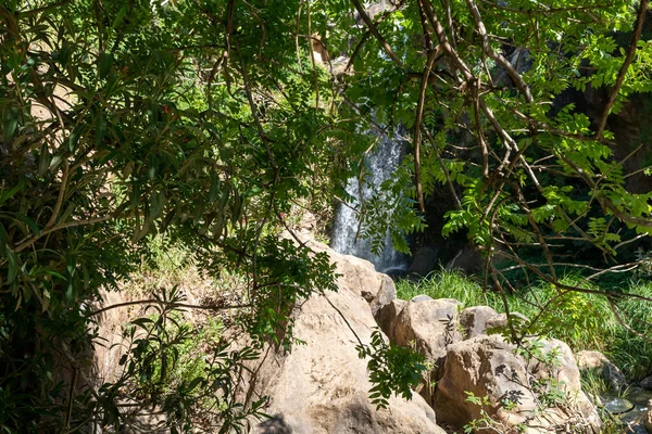 Saar Şelaleleri 'nin soğuk ve berrak suları İsrail' in Golan Tepeleri 'ndeki bir yarıktan aşağı iniyor..