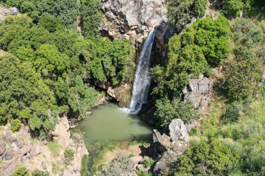 Saar Şelaleleri 'nin soğuk ve berrak suları İsrail' in Golan Tepeleri 'ndeki bir yarıktan aşağı iniyor..
