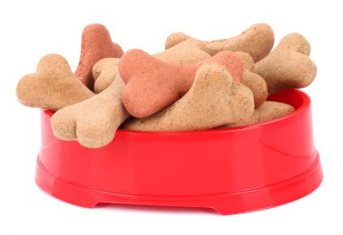 Köpek aperatif kırmızı kase