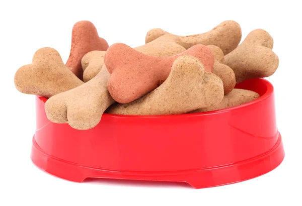 Köpek aperatif kırmızı kase