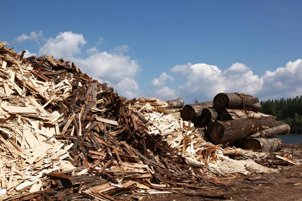 Resíduos Madeira Para Reciclagem — Fotografia de Stock