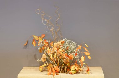 Dekorasyon için kuru çiçekler                               