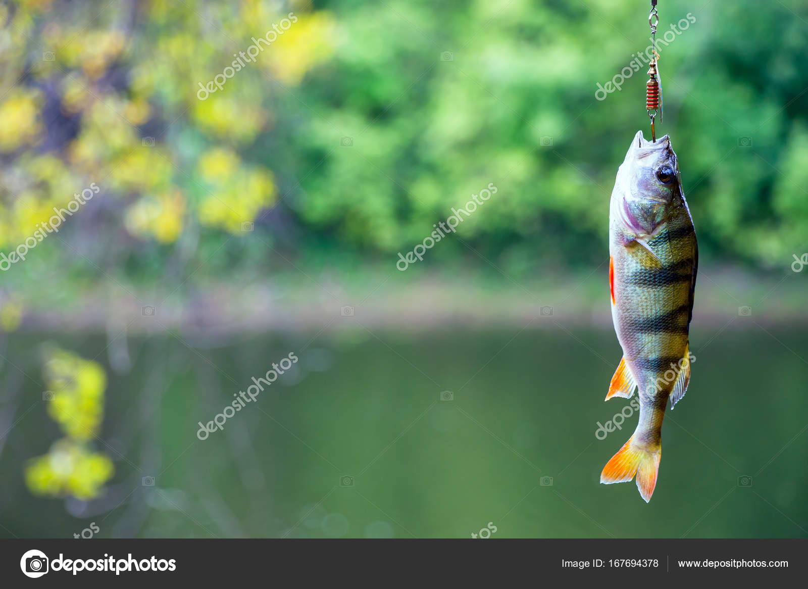 Levrek nehri Levrek nehri