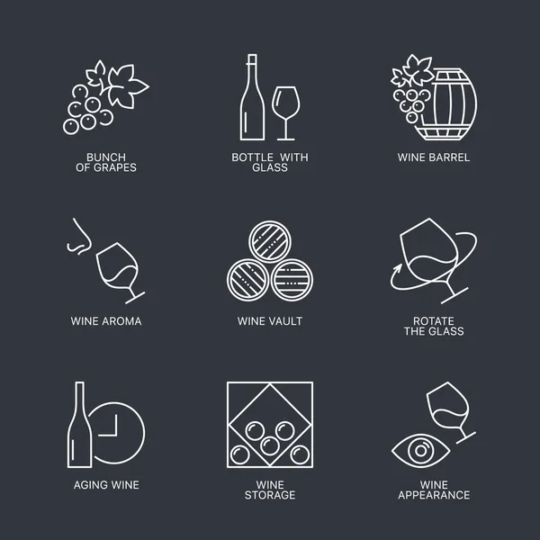 Conjunto de iconos de vino de línea delgada — Vector de stock