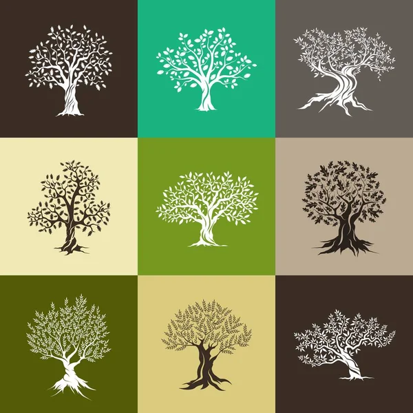Prachtige olijfbomen en eiken bomen silhouet — Stockvector