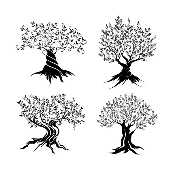 Olive trees silhouette icon set — Stock Vector