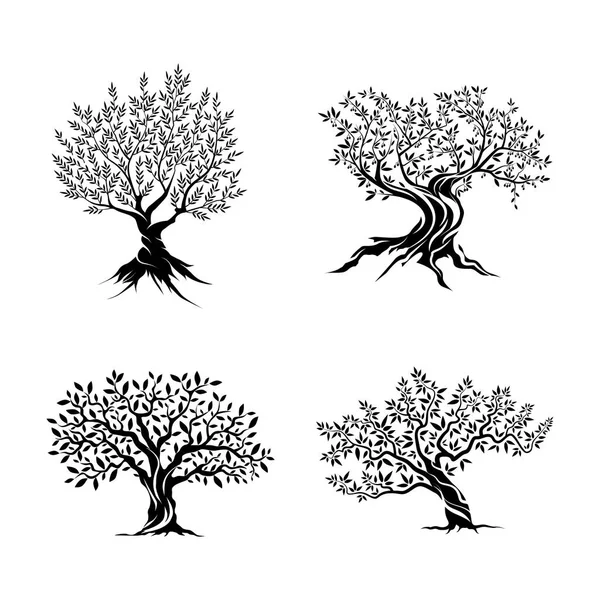 Olivenbäume Silhouette Icon Set — Stockvektor