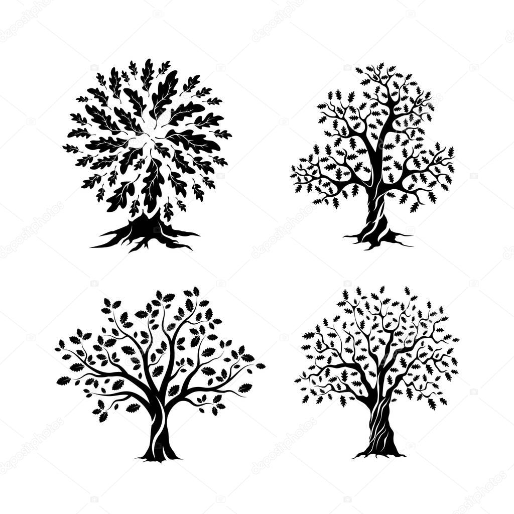 Beautiful oak trees silhouette set isolated on white background. Web infographic modern vector sign. Premium quality illustration logo design concept.