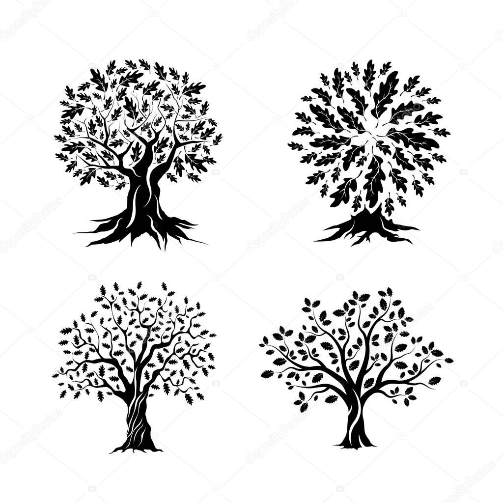 Beautiful oak trees silhouette set isolated on white background. Web infographic modern vector sign. Premium quality illustration logo design concept.