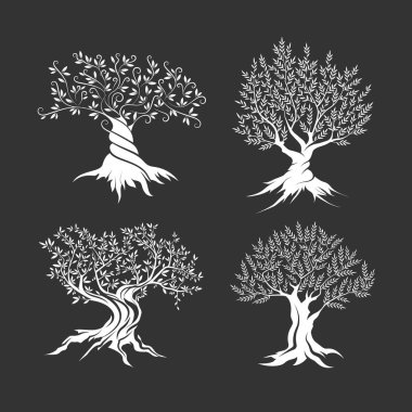 Zeytin ağaçları siluet simge seti