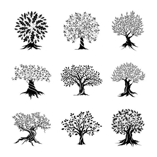 Güzel meşe ağaçları kümesi siluet