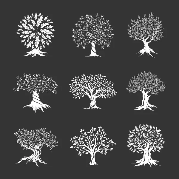 Beautiful oak trees silhouette set — Stock Vector