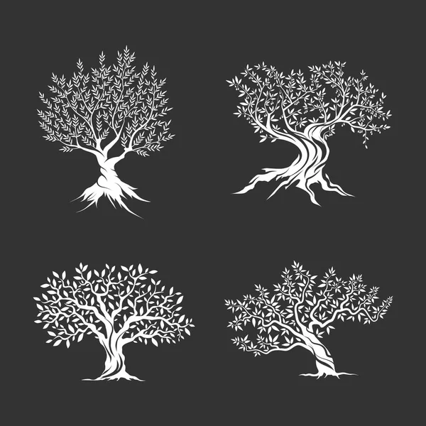Drzewa oliwne sylwetka zestaw ikon na białym tle na ciemnym tle — Wektor stockowy