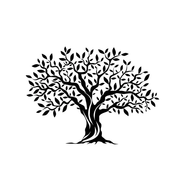 Olive tree sylwetka ikona na białym tle. — Wektor stockowy