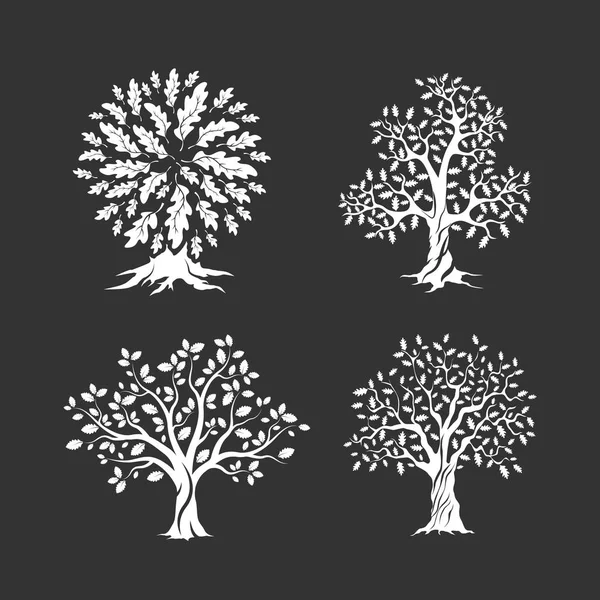 美丽的栎树剪影集 — 图库矢量图片